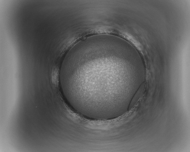 X0000113370009200909151409