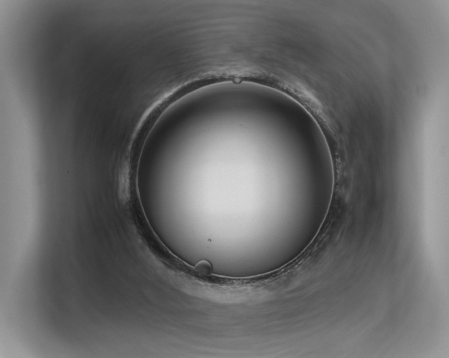 X0000113370012200909151409