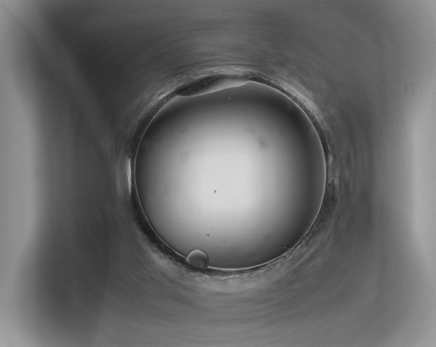 X0000113370013200909151409