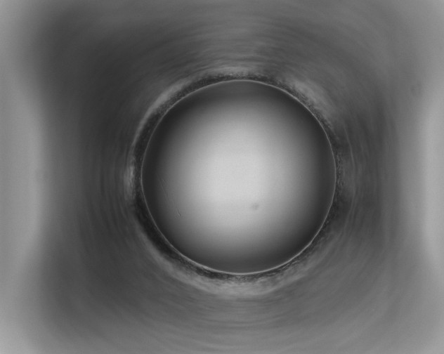 X0000113370016200909151409