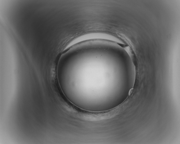 X0000113370017200909151409