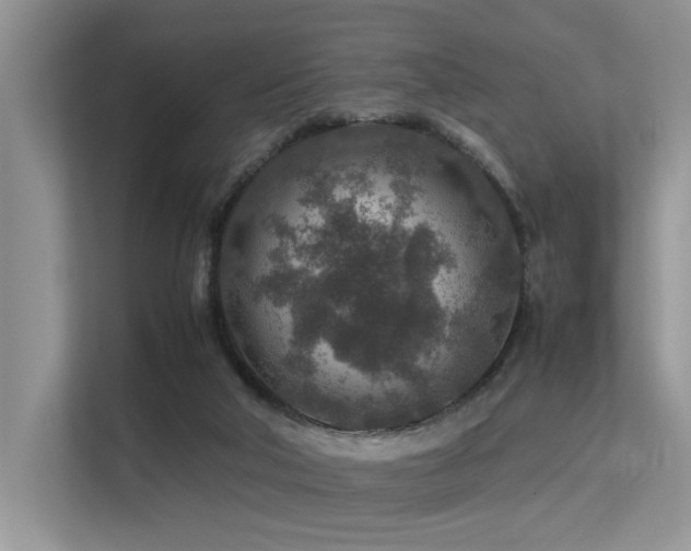 X0000113370018200909151409