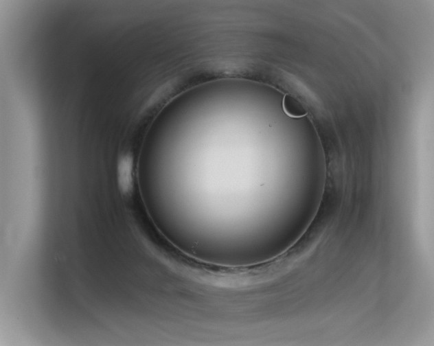 X0000113370024200909151409