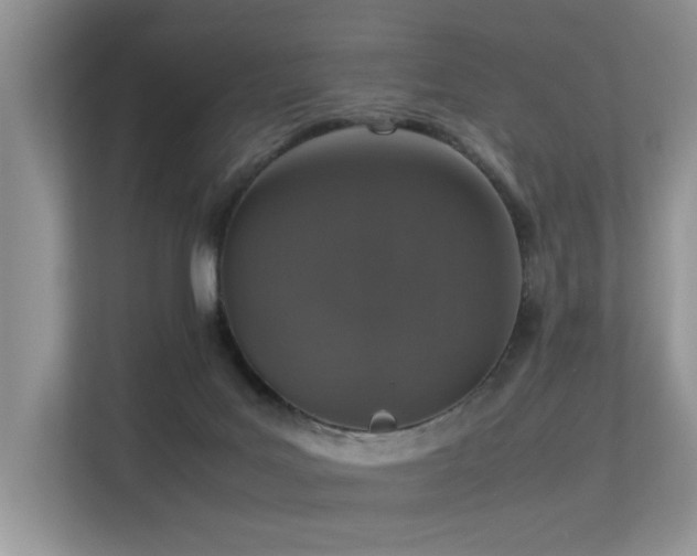 X0000113370027200909151409