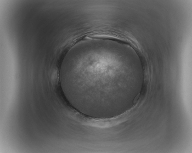 X0000113370029200909151409
