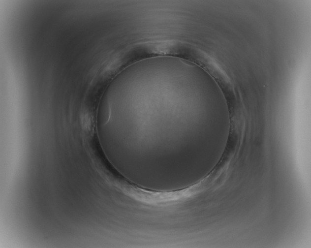X0000113370031200909151409