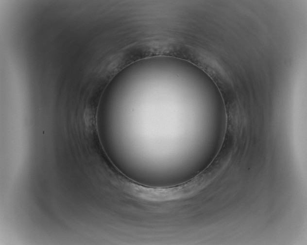 X0000113370034200909151409