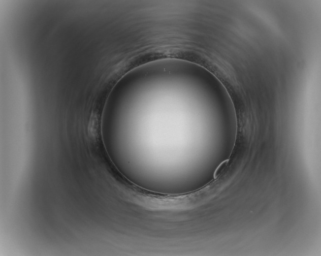 X0000113370036200909151409