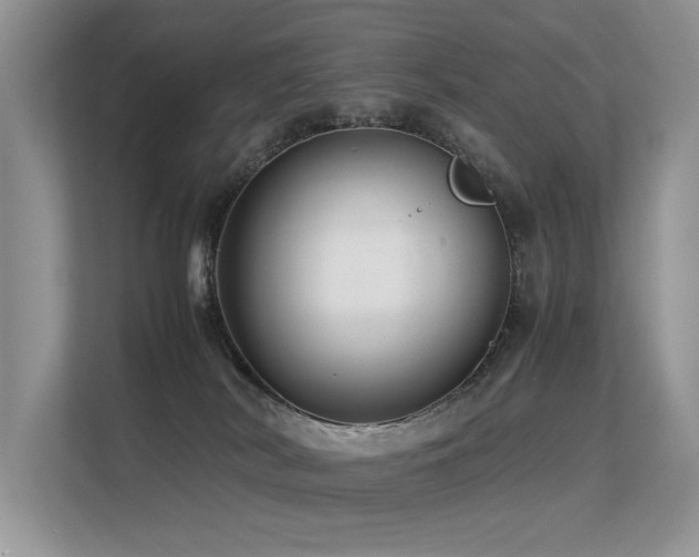 X0000113370038200909151409
