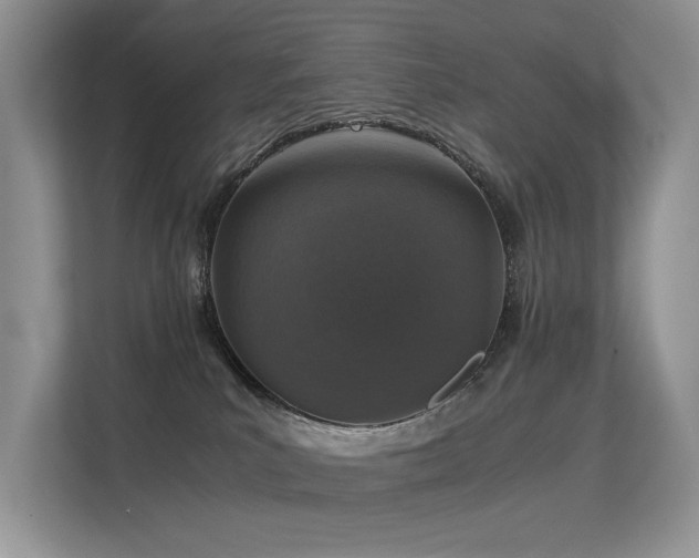 X0000113370039200909151409