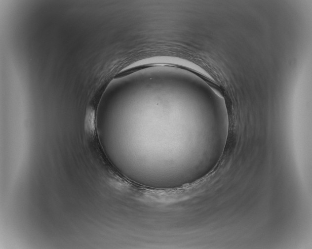 X0000113370041200909151409