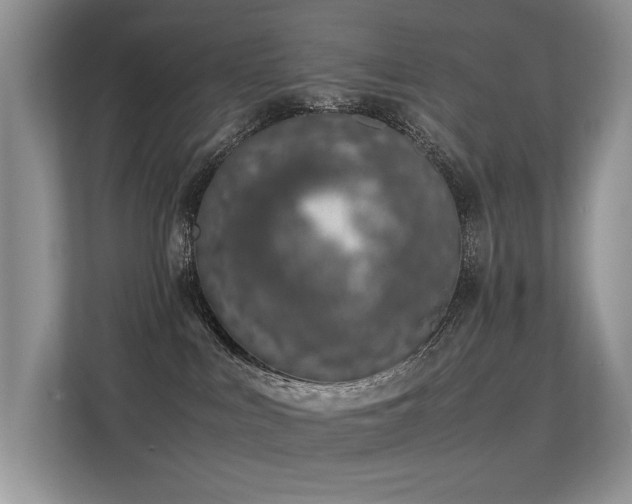 X0000113370043200909151409
