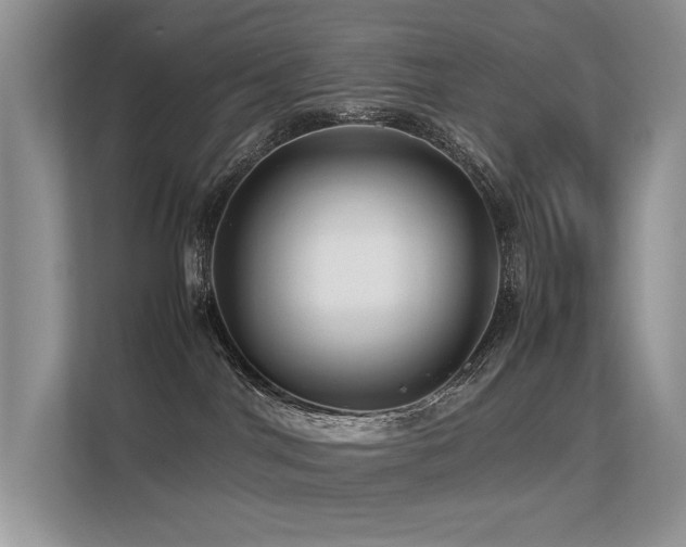 X0000113370044200909151409