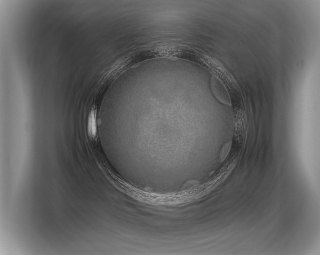 X0000113370046200909151409
