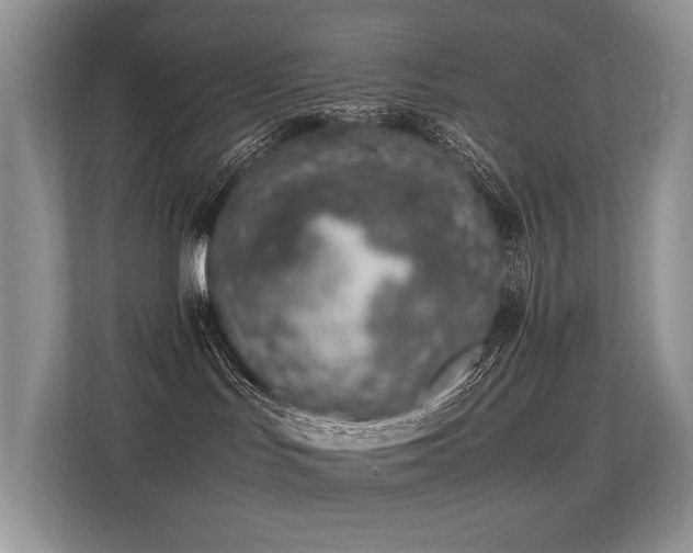 X0000113370047200909151409