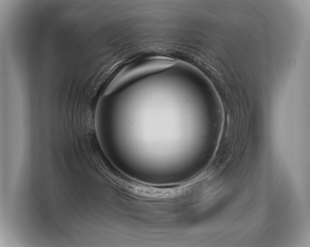 X0000113370048200909151409