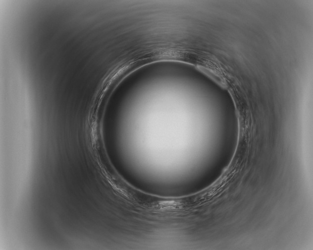 X0000113370050200909151408