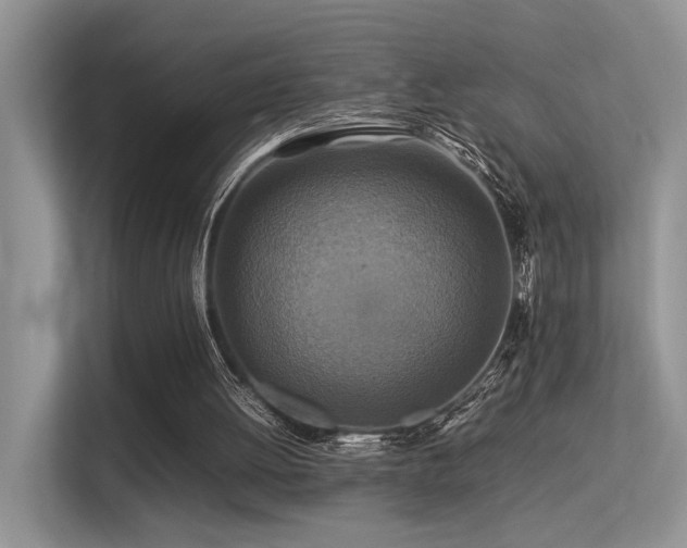 X0000113370052200909151408