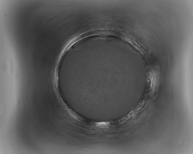 X0000113370053200909151408