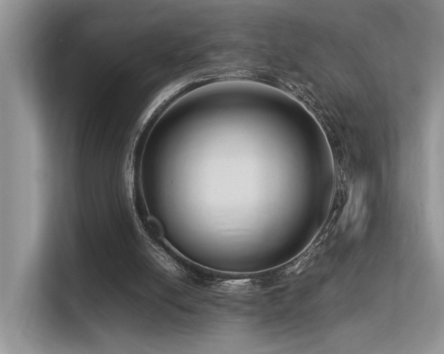 X0000113370054200909151408