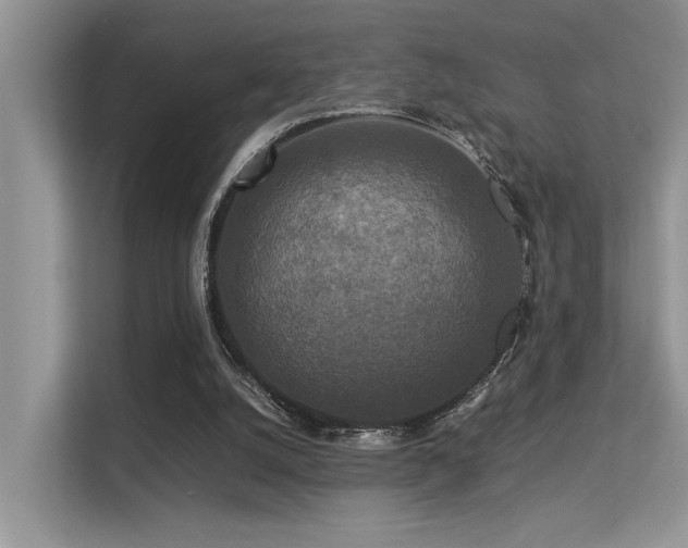 X0000113370056200909151408
