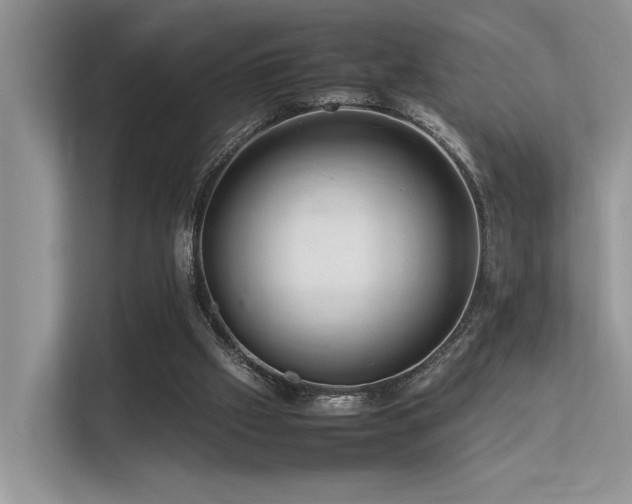 X0000113370057200909151408