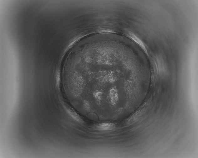 X0000113370059200909151408