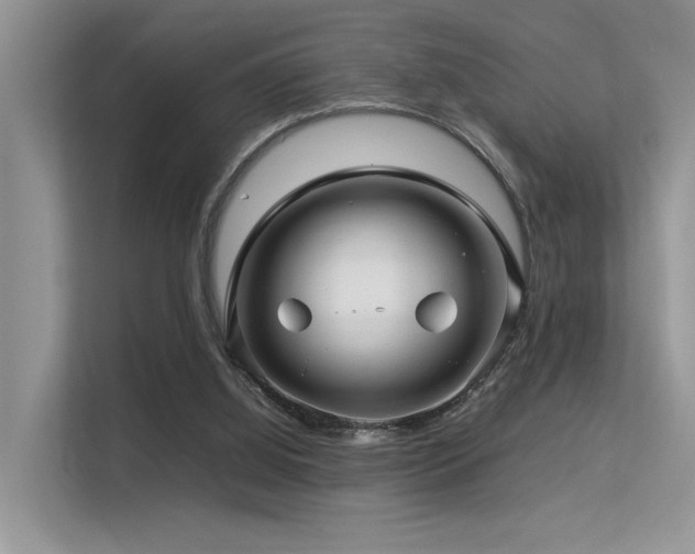 X0000113370060200909151408