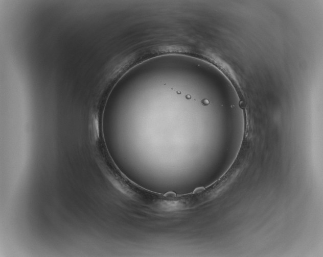 X0000113370061200909151408