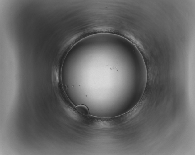 X0000113370062200909151408