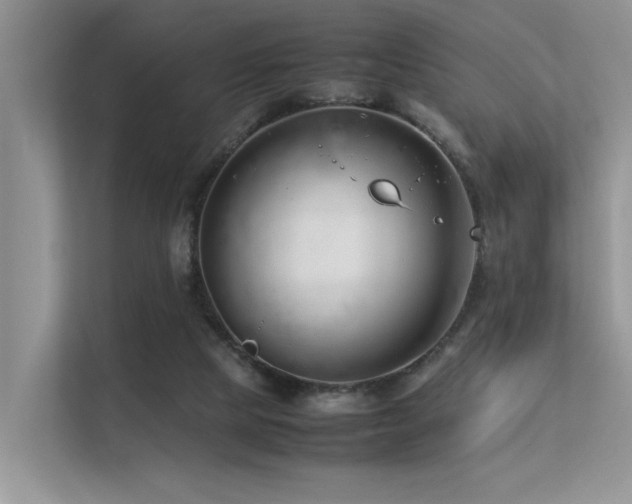 X0000113370065200909151408