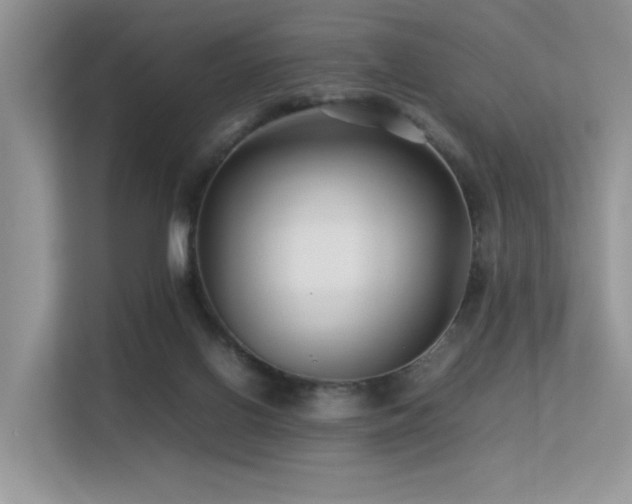 X0000113370070200909151408