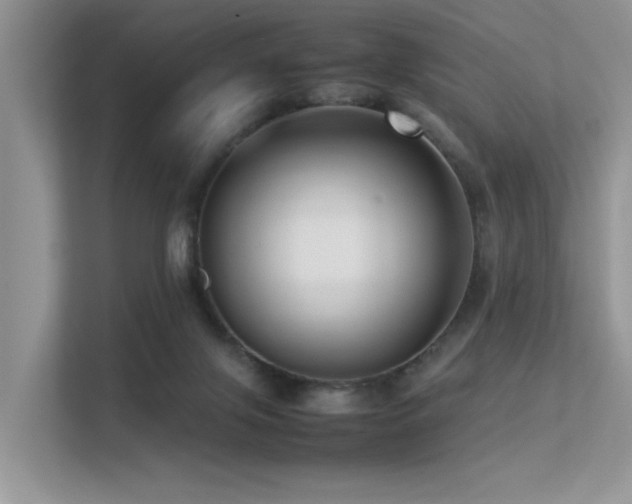X0000113370071200909151408