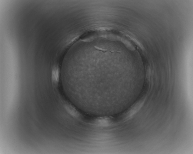 X0000113370076200909151408