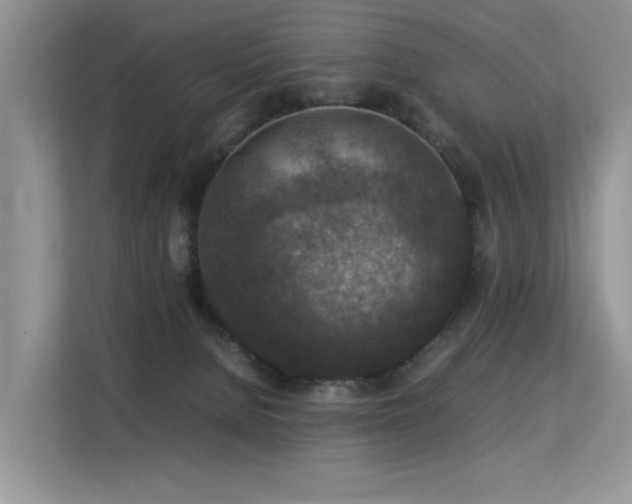 X0000113370080200909151408