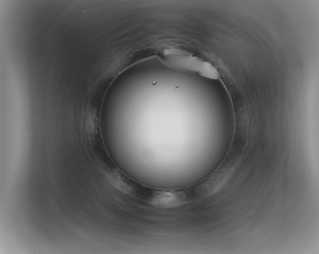 X0000113370083200909151408