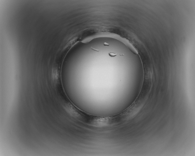 X0000113370084200909151408