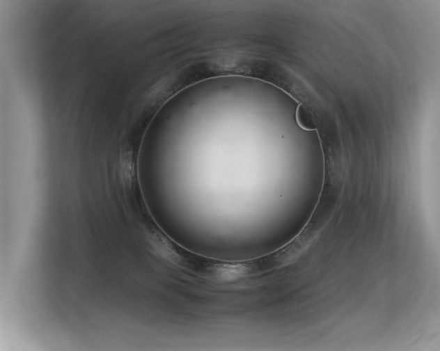 X0000113370085200909151408