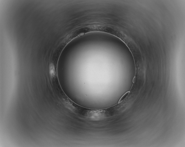 X0000113370089200909151408