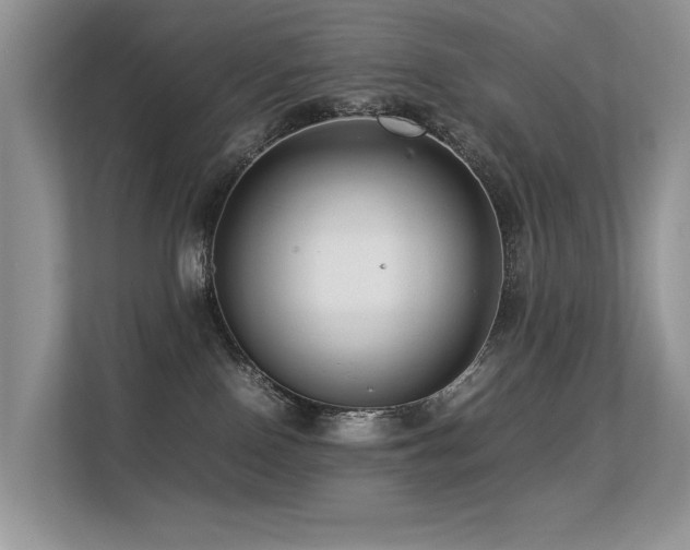 X0000113370090200909151408