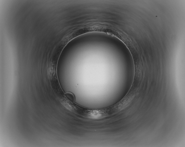 X0000113370091200909151408