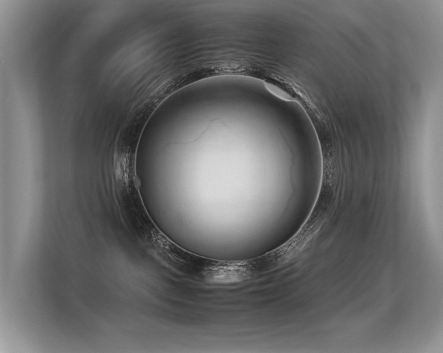 X0000113370093200909151409