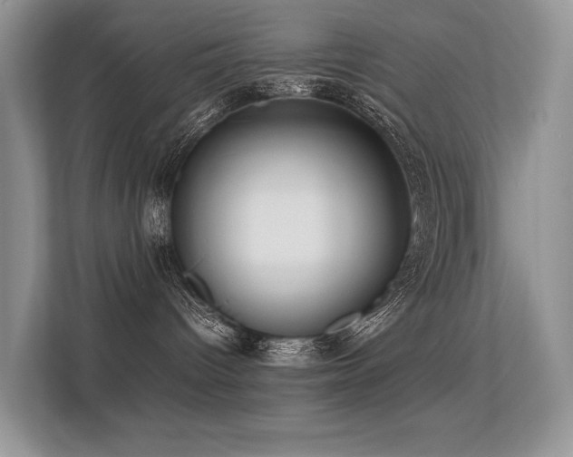 X0000113370096200909151409