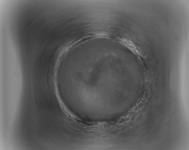 X0000113370097200909151408