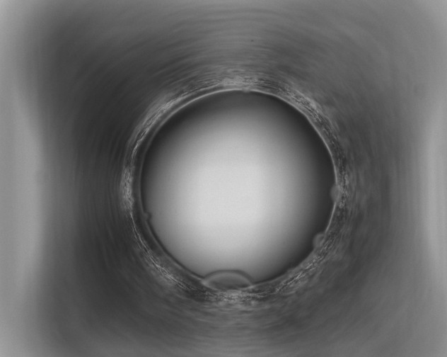 X0000113370098200909151408