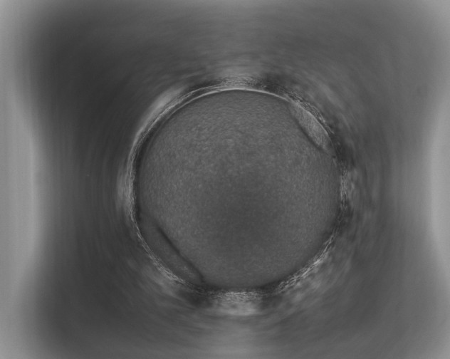 X0000113370101200909151408