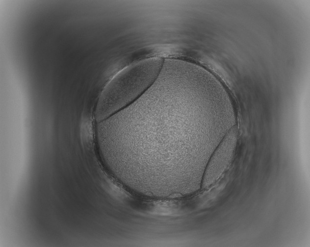 X0000113370105200909151408