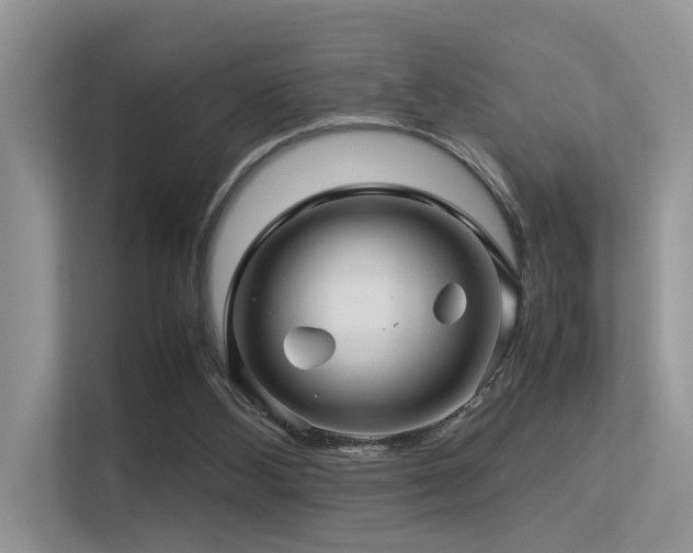 X0000113370108200909151408