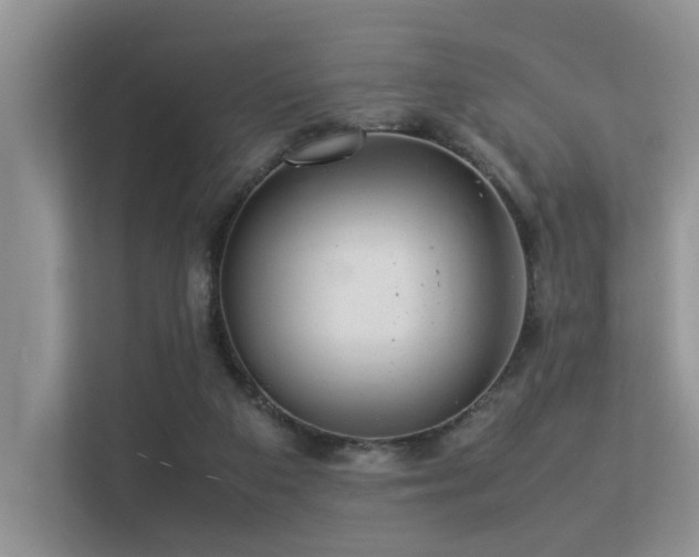 X0000113370113200909151408