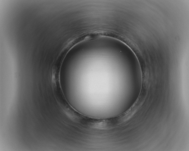 X0000113370116200909151408